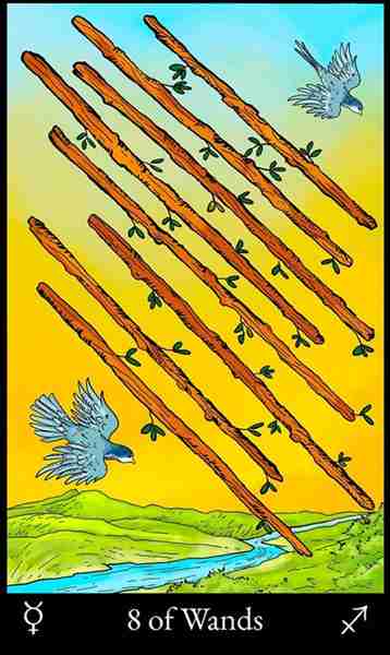 8 of Wands
