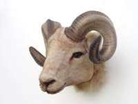 Ram Objects